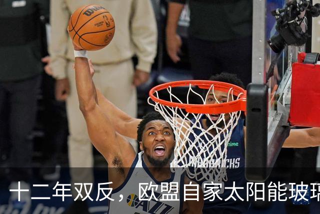 十二年双反，欧盟自家太阳能玻璃产业归零，中国剩3%，印度东南亚端走了盘子