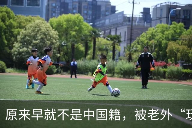 原来早就不是中国籍，被老外“玩腻”后回国的郑绪岚，现在怎样？