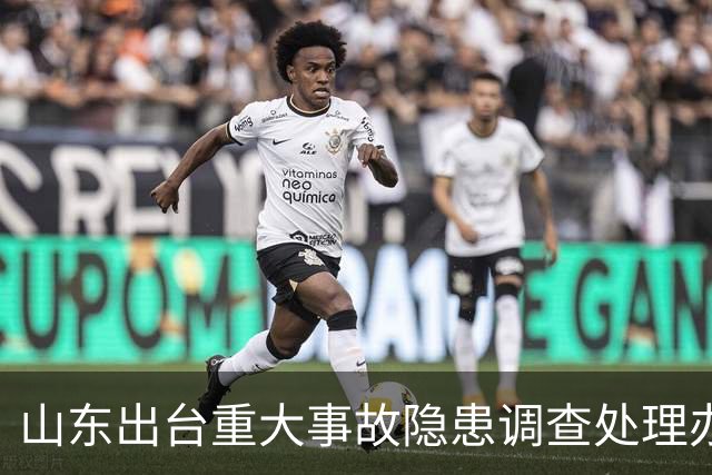 山东出台重大事故隐患调查处理办法