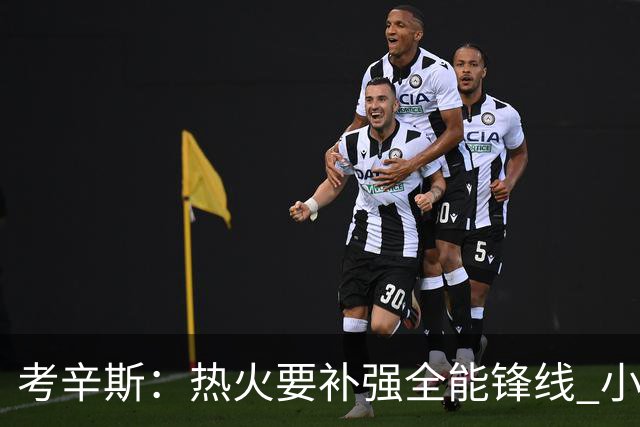 考辛斯：热火要补强全能锋线 小米切尔更适合防守尖兵定位