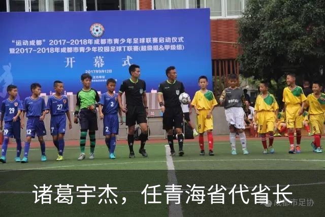 诸葛宇杰，任青海省代省长