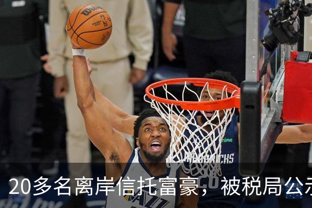 20多名离岸信托富豪，被税局公示催告